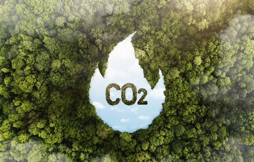 Contaminación Ambiental: Reduce los gases de CO2 en tu flota